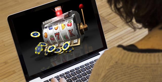 Experience the Thrill of Online Casino Mr Cat -1602740545