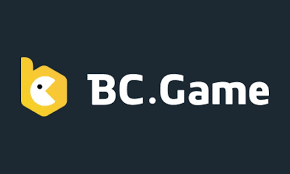 Exploring the Exciting World of BC.Game Hub